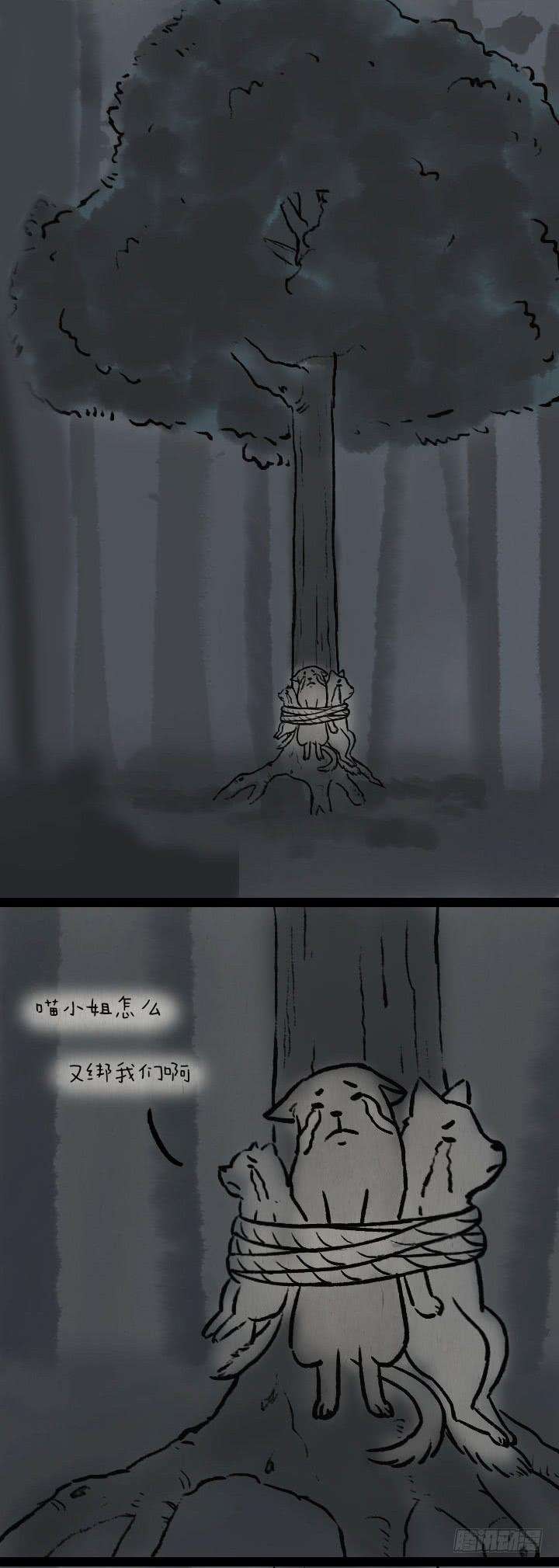 26.jpg