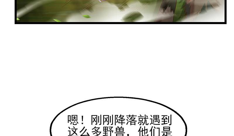 37.jpg