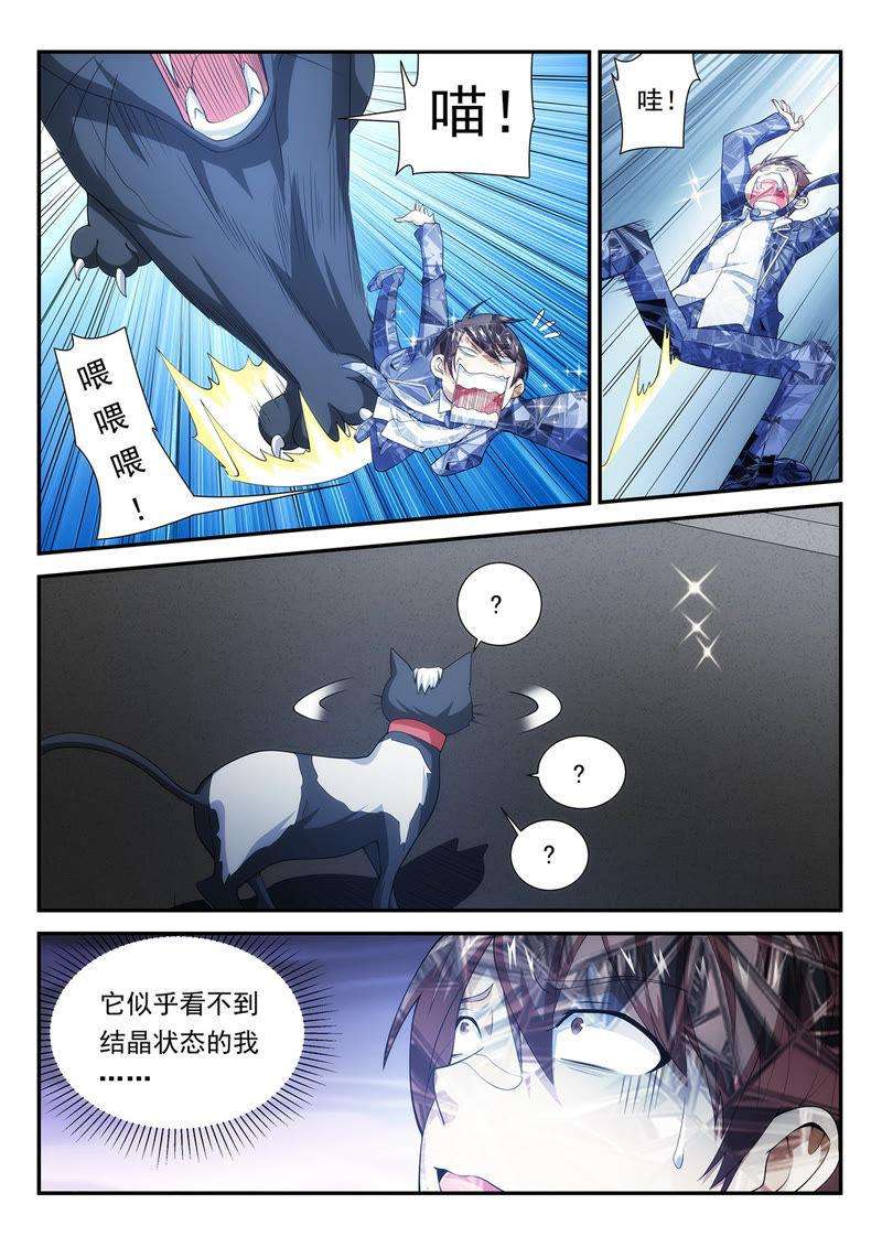 4.jpg