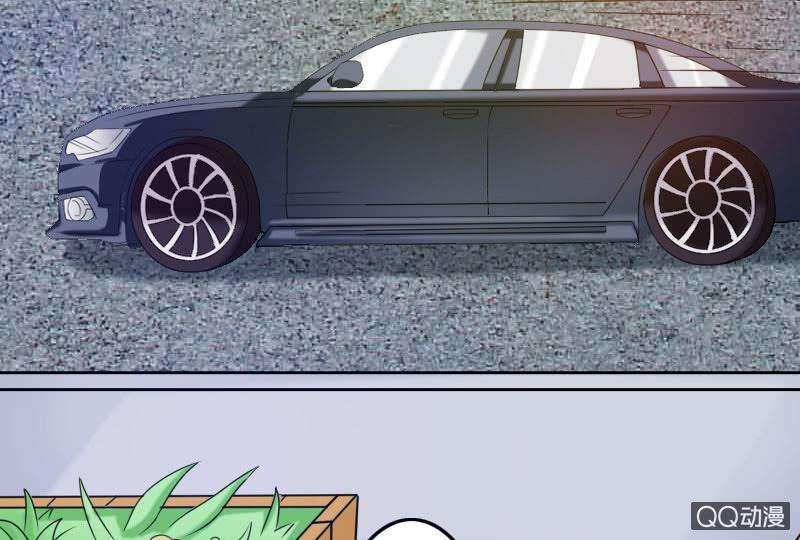 86.jpg