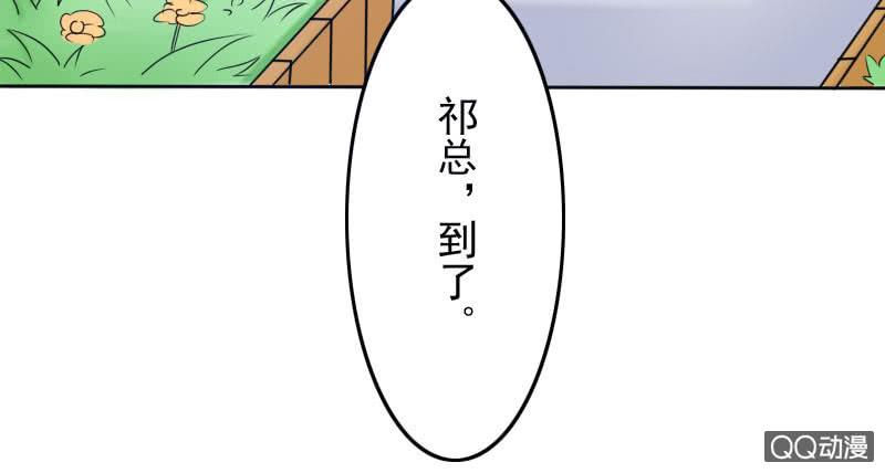 87.jpg
