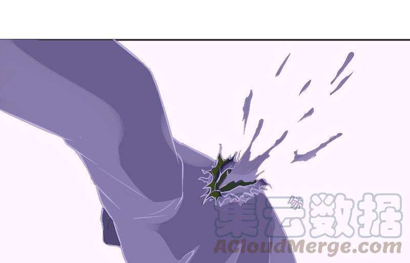 64.jpg