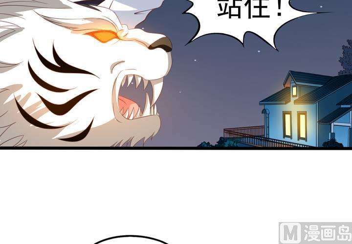 54.jpg