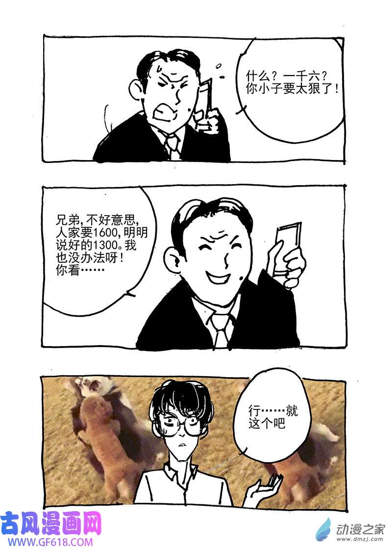 11.jpg