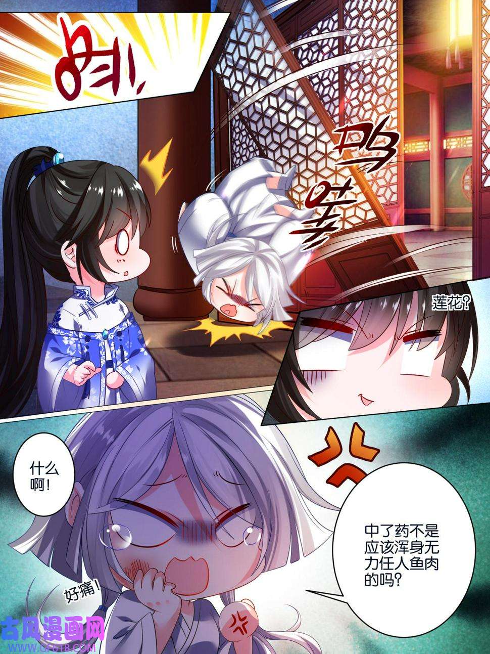 6.jpg