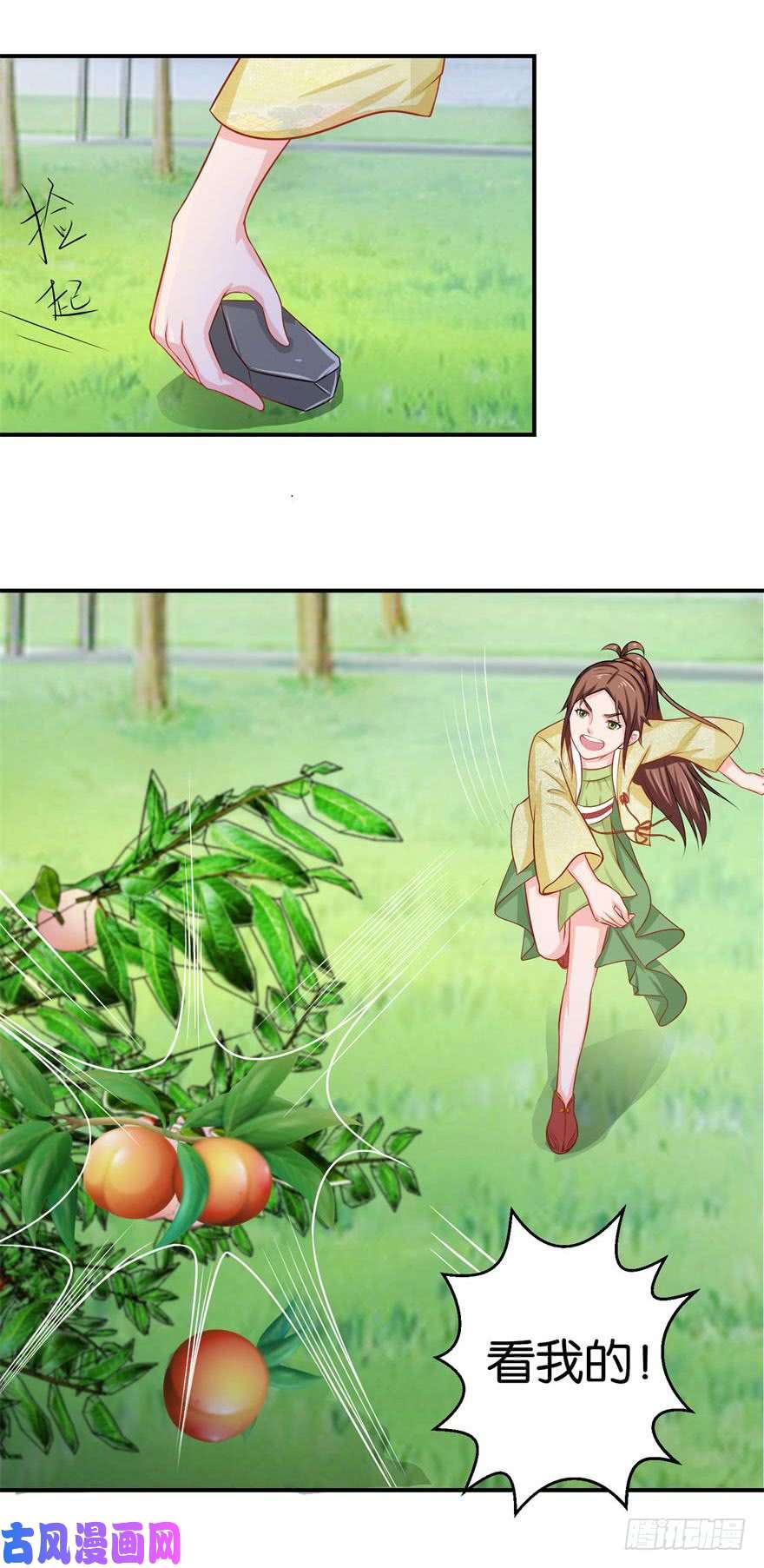 11.jpg