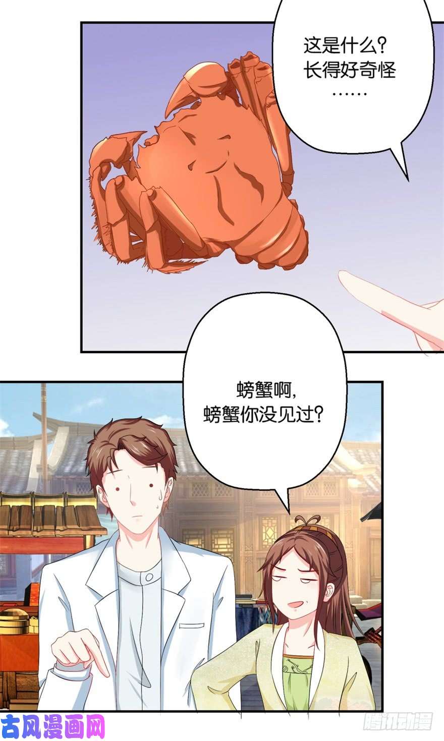 29.jpg