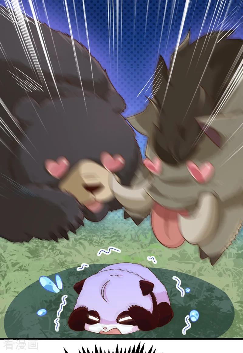 35.jpg