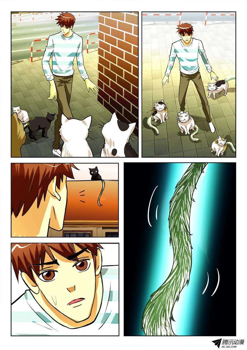 8.jpg