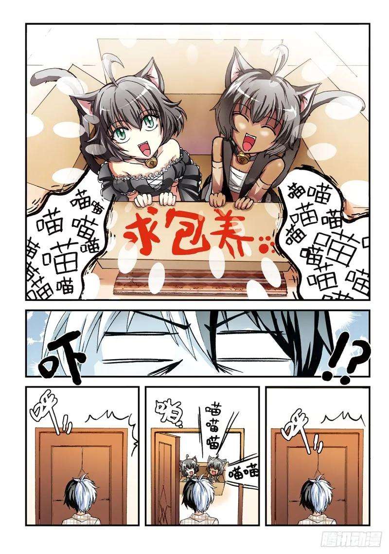 8.jpg
