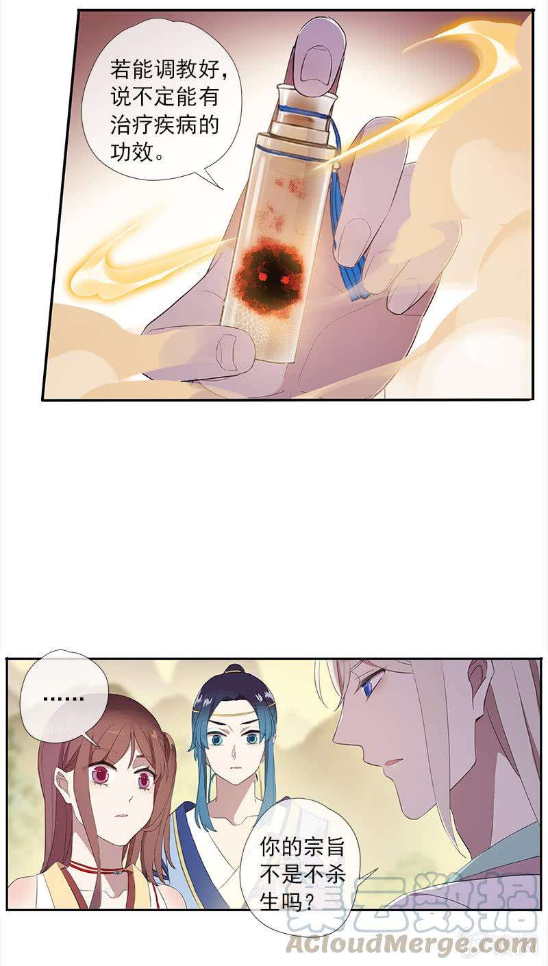 11.jpg