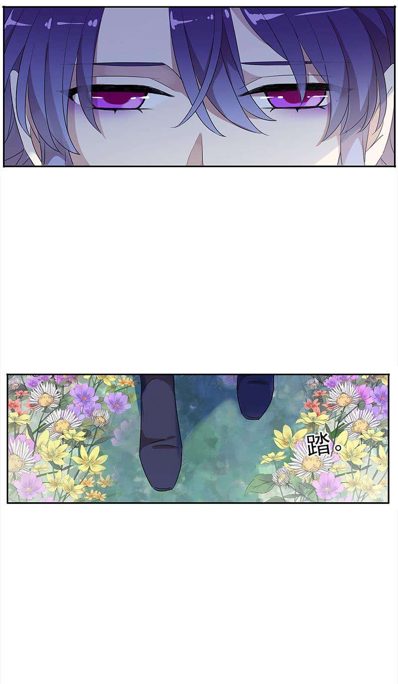 48.jpg