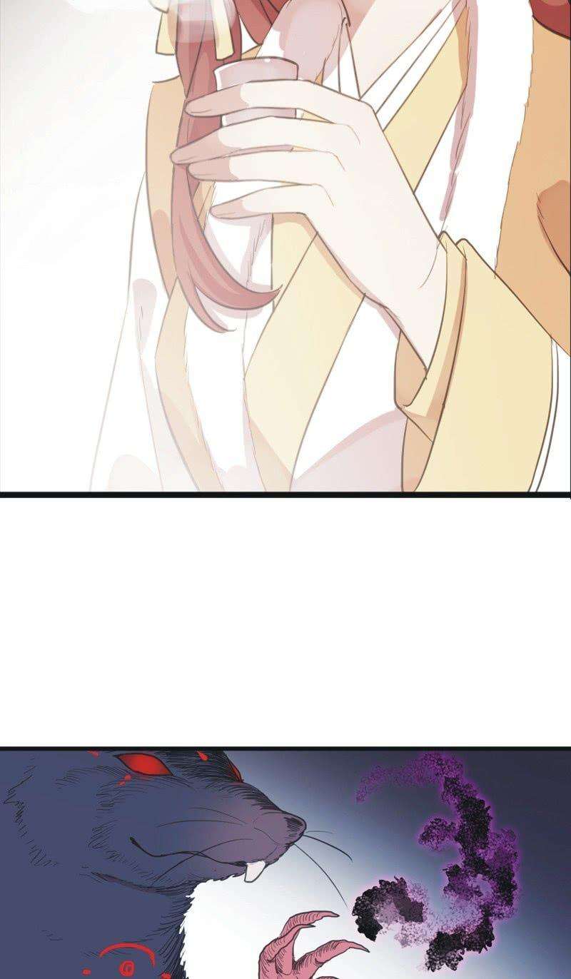 49.jpg