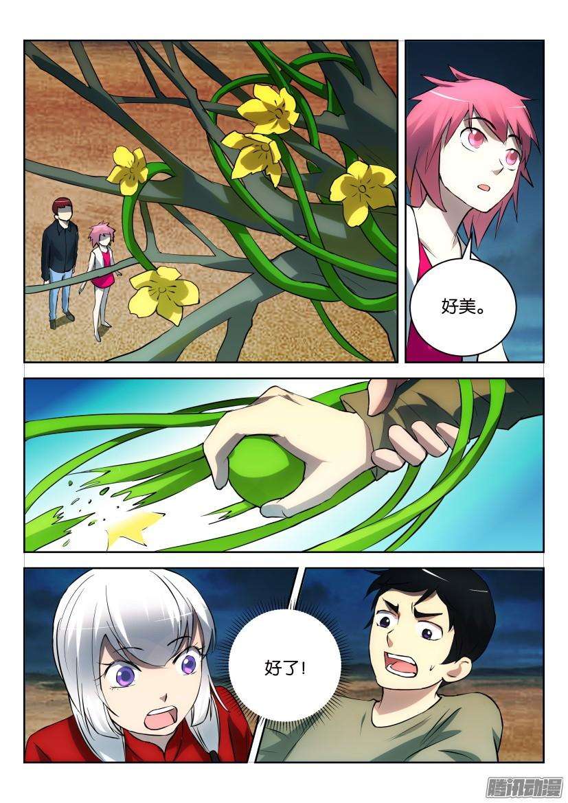 7.jpg