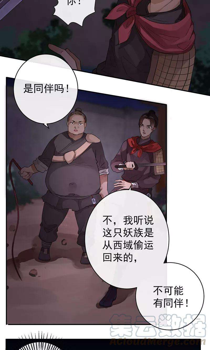 25.jpg