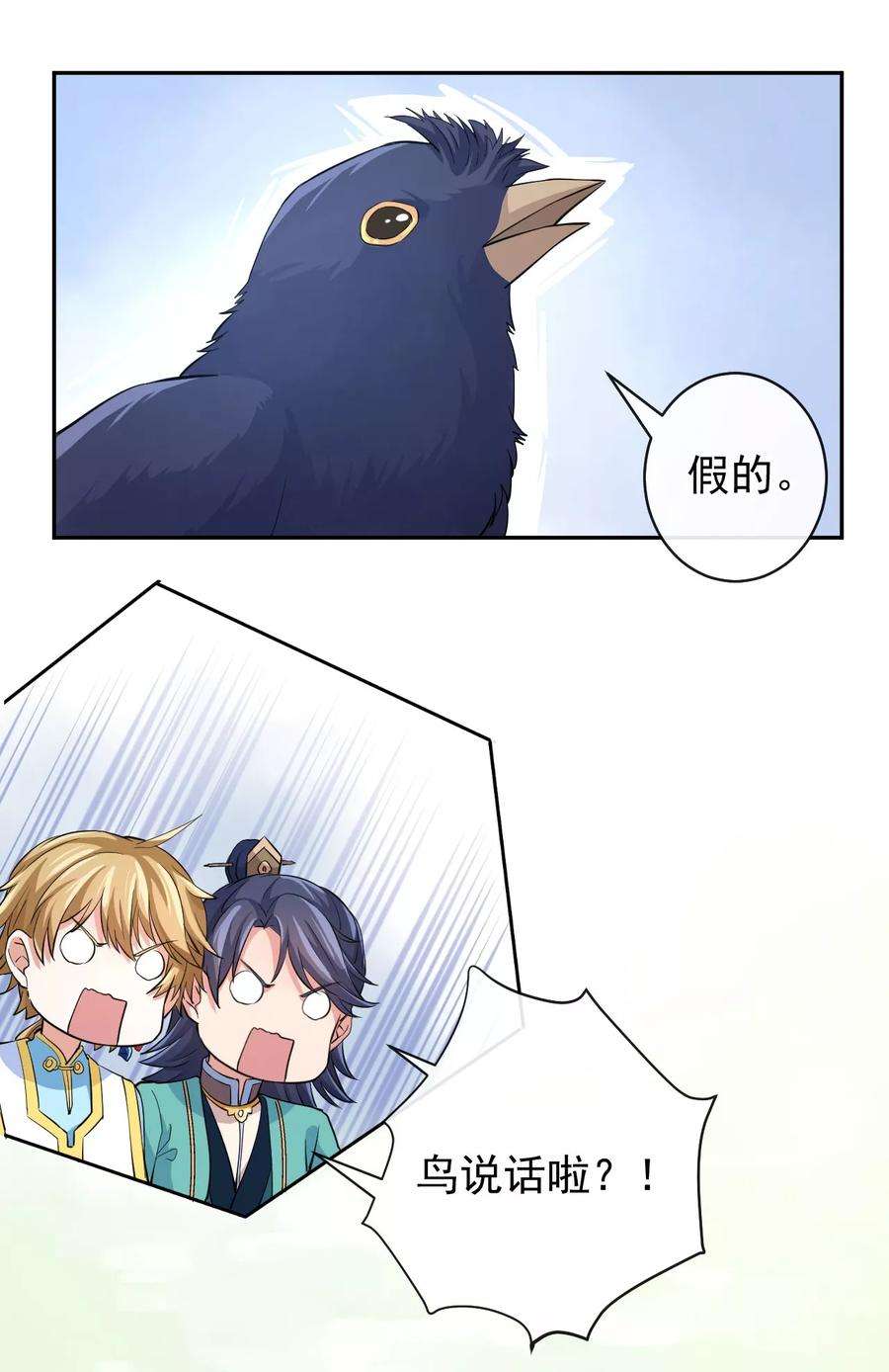 12.jpg