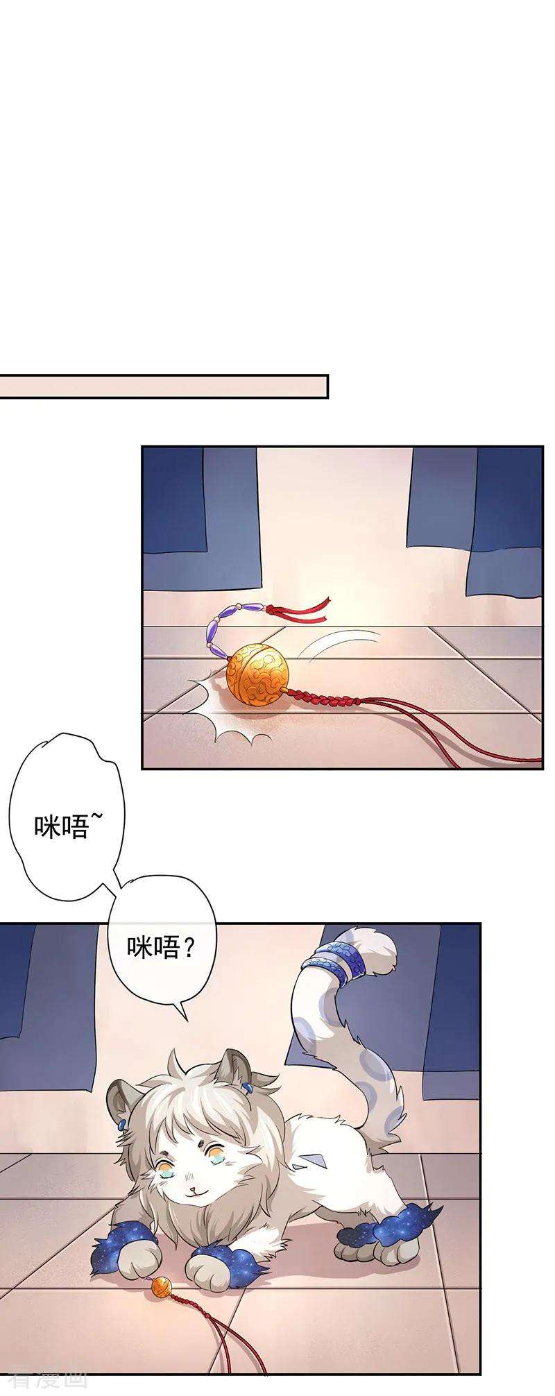 12.jpg