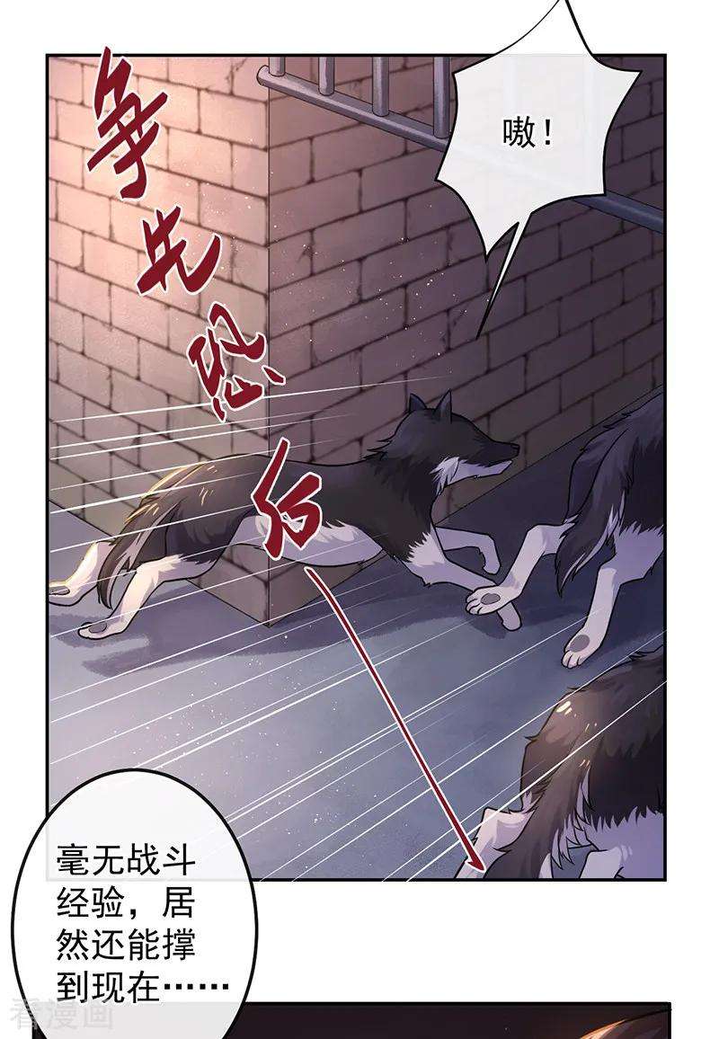 3.jpg