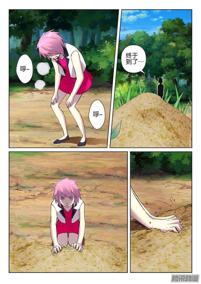 8.jpg