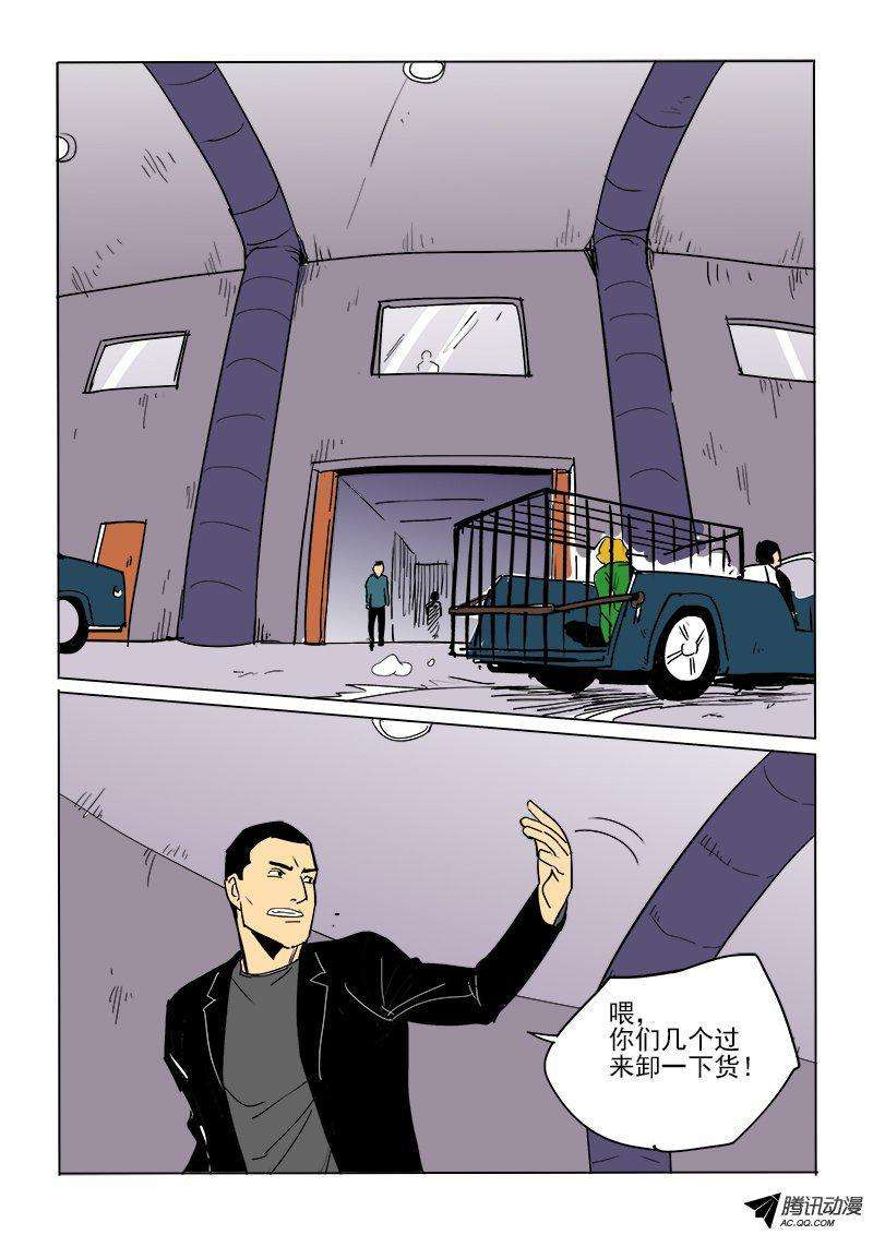 13.jpg