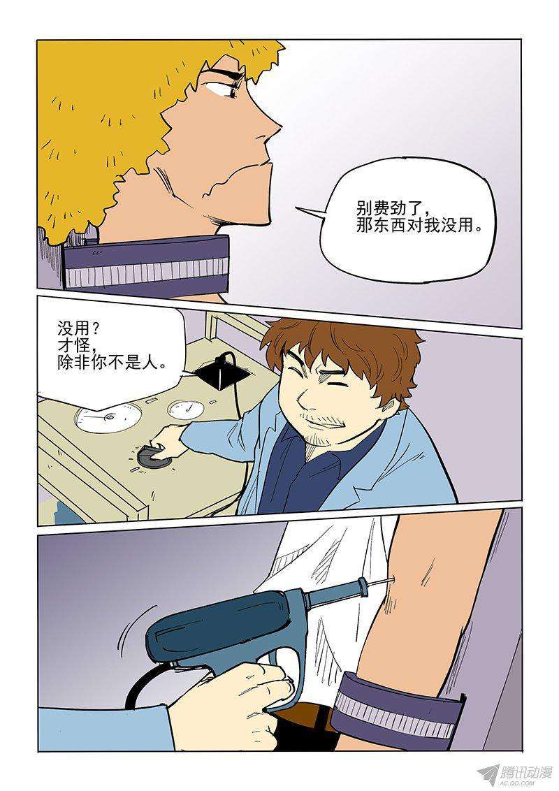 13.jpg