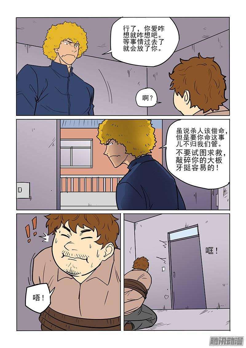 13.jpg
