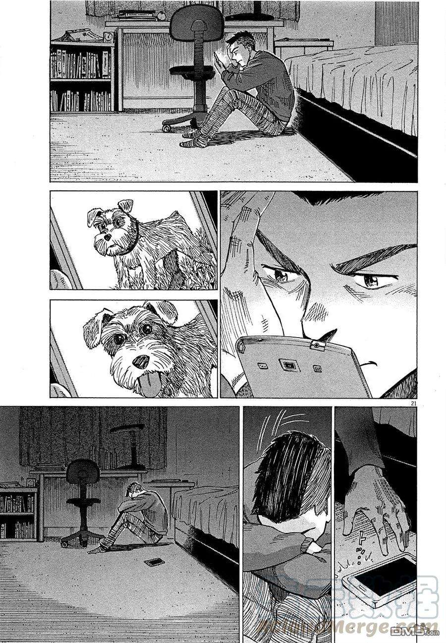 21.jpg