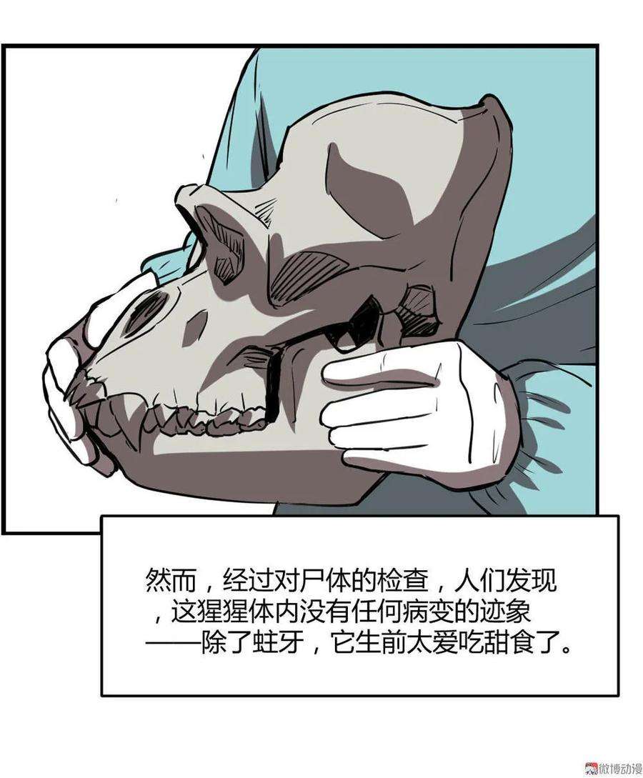 28.jpg