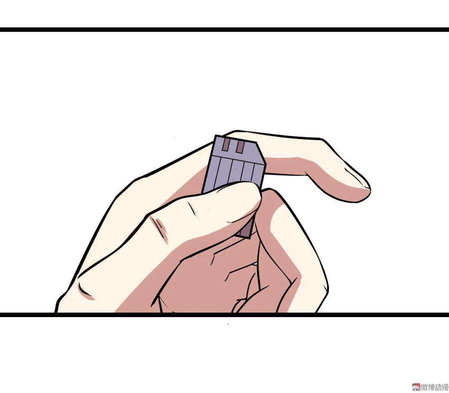 31.jpg