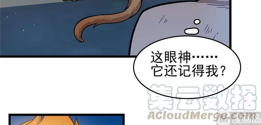 43.jpg
