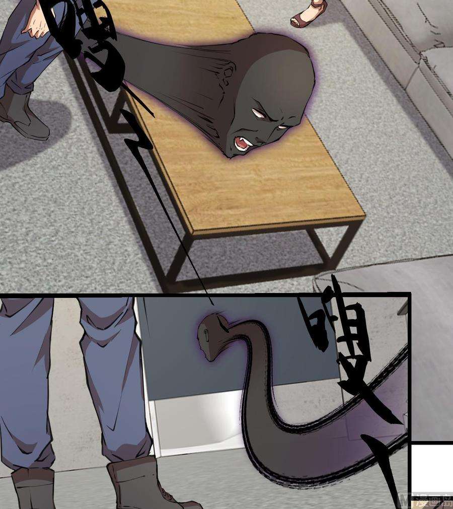 47.jpg