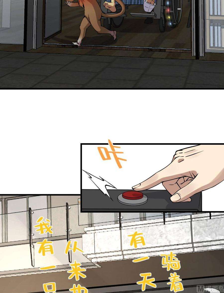 34.jpg