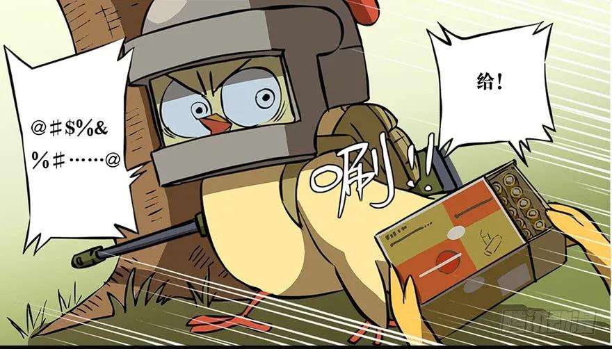 8.jpg