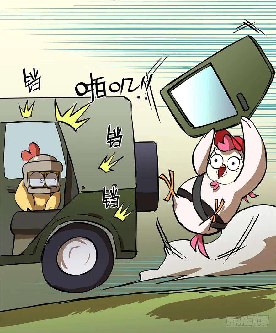 6.jpg