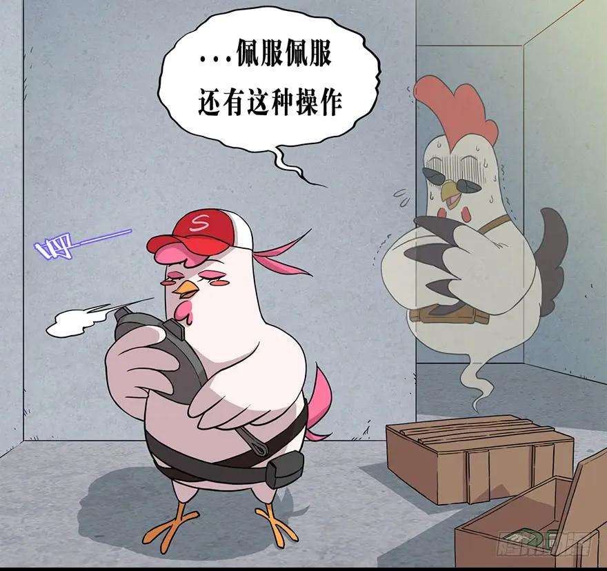 14.jpg