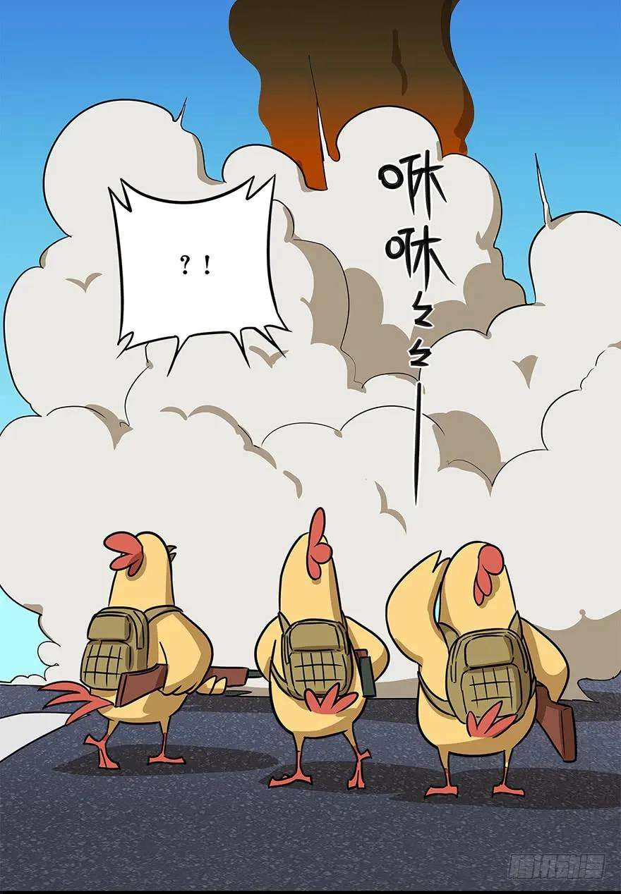 11.jpg