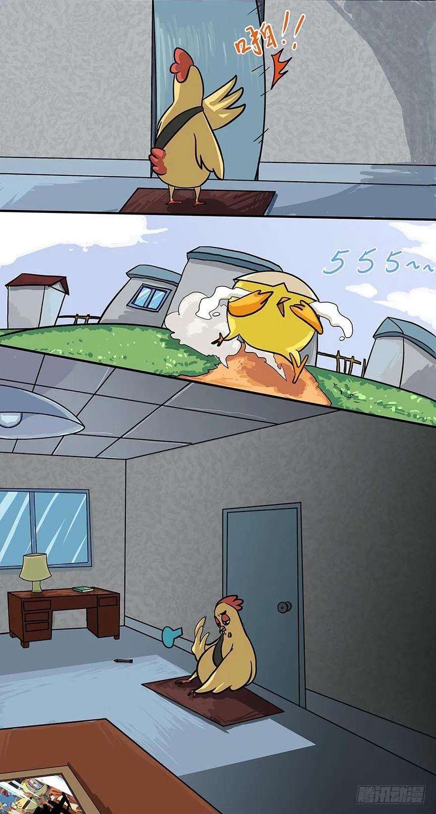 15.jpg