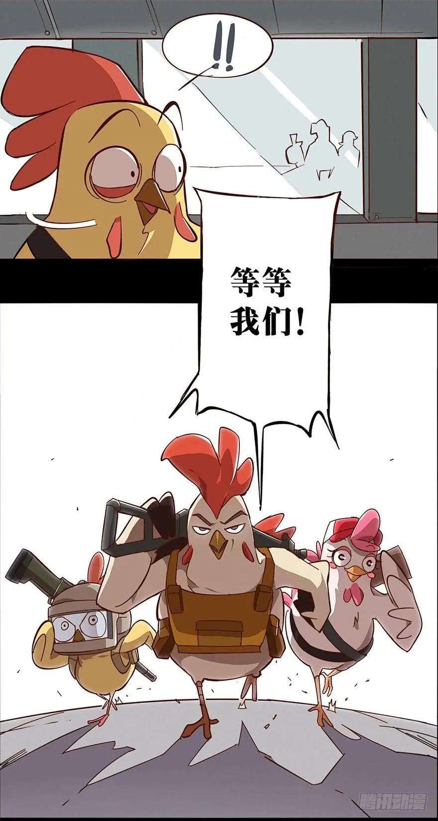 17.jpg