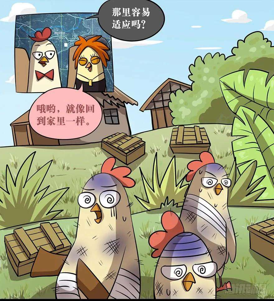6.jpg