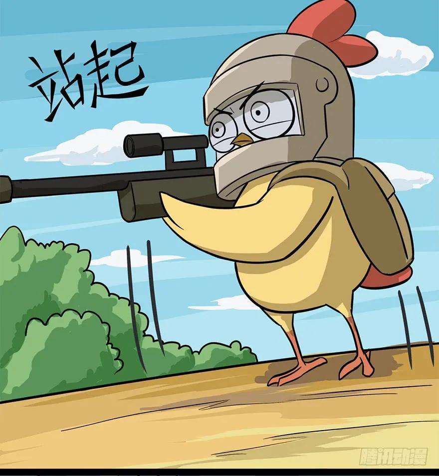 13.jpg