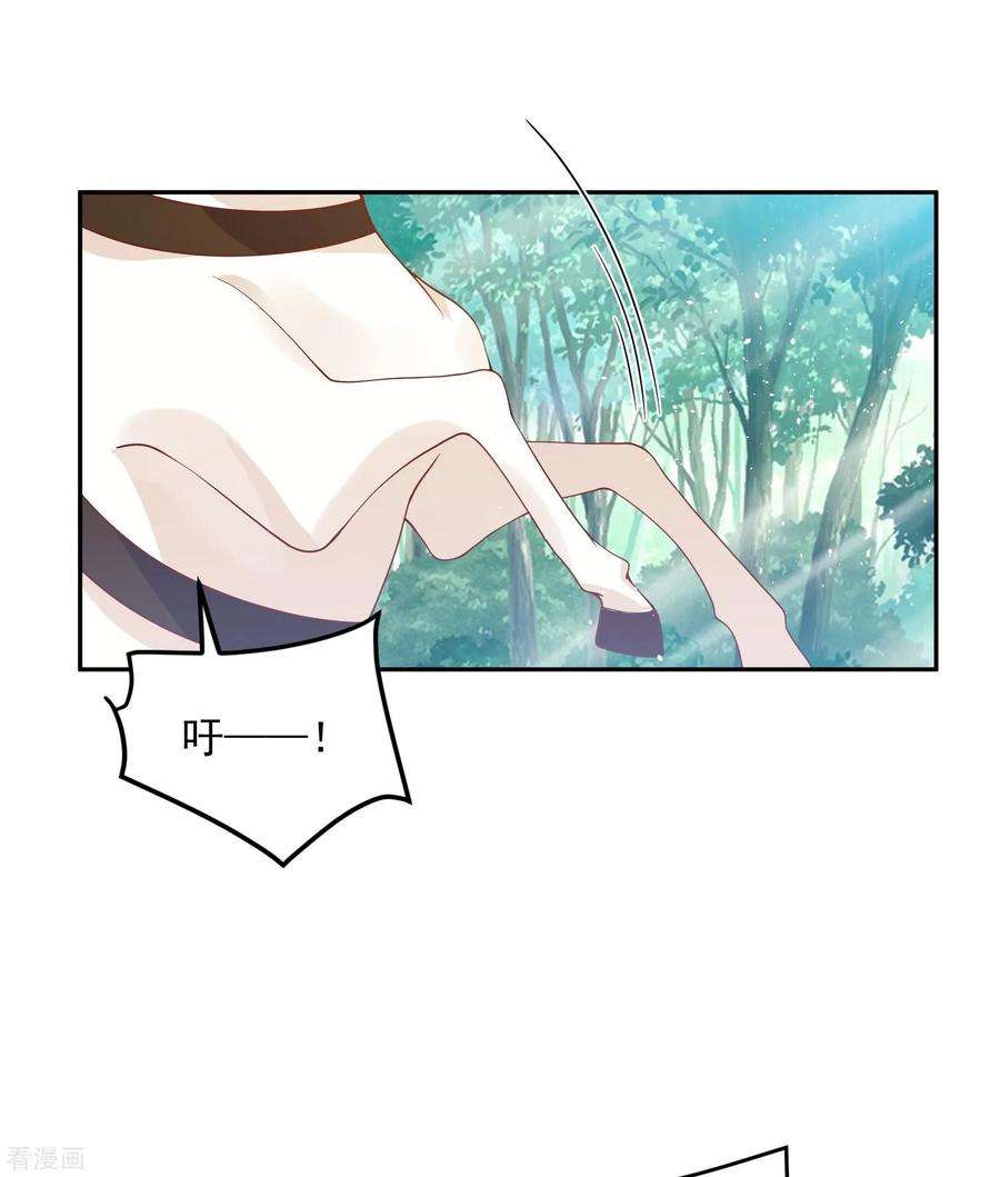 31.jpg