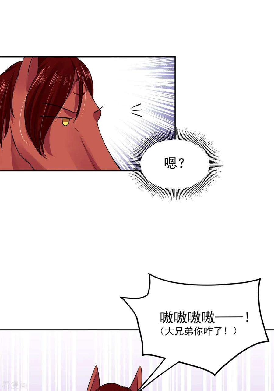 20.jpg