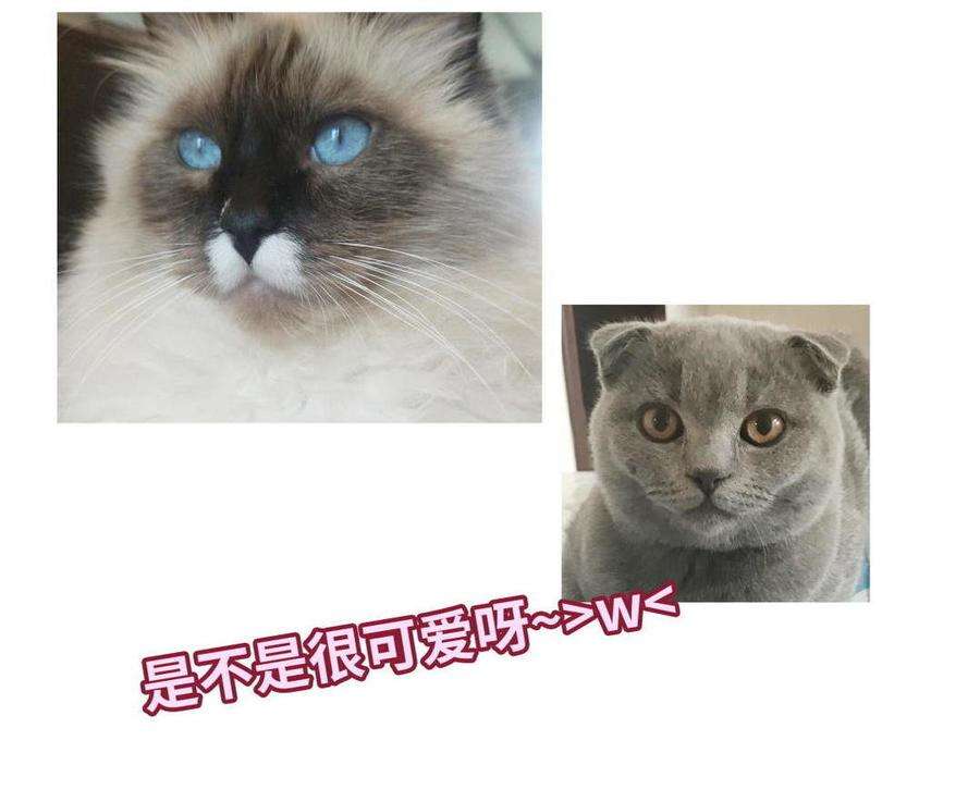 103.jpg