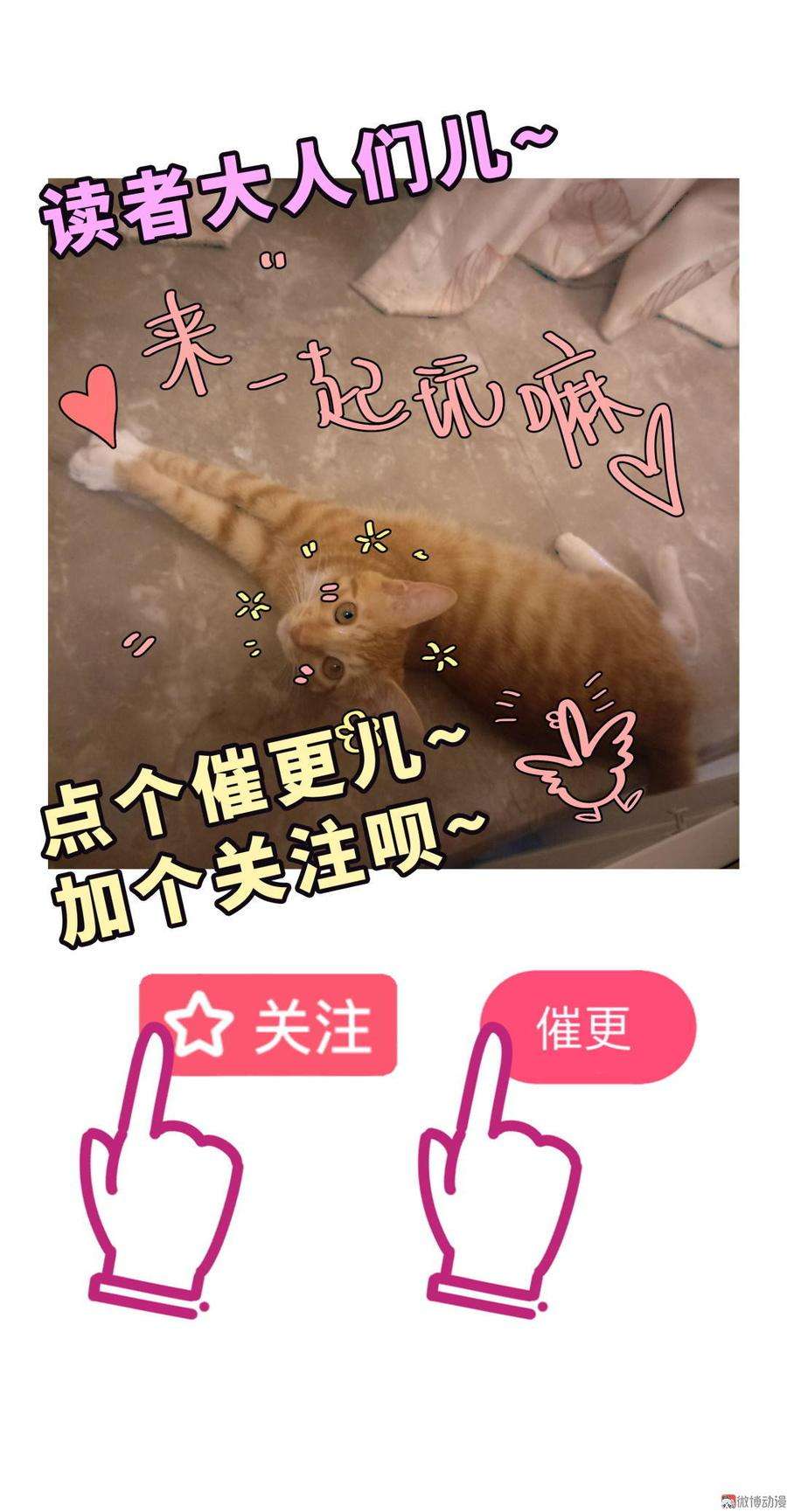 110.jpg