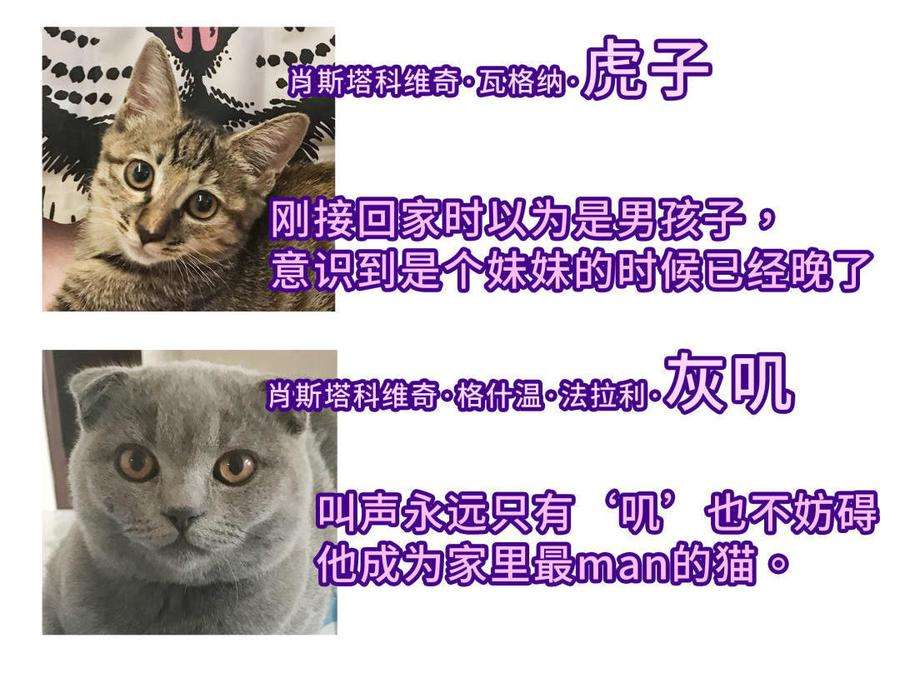 85.jpg