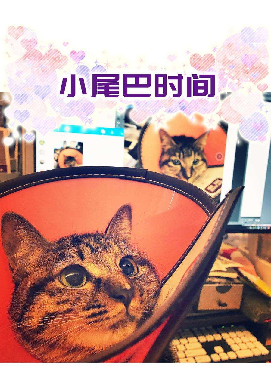 85.jpg