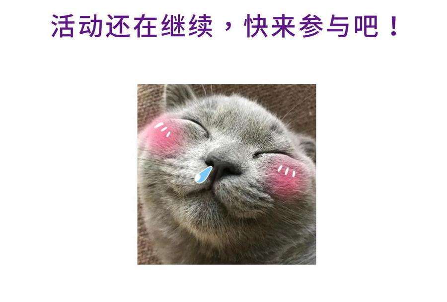 98.jpg