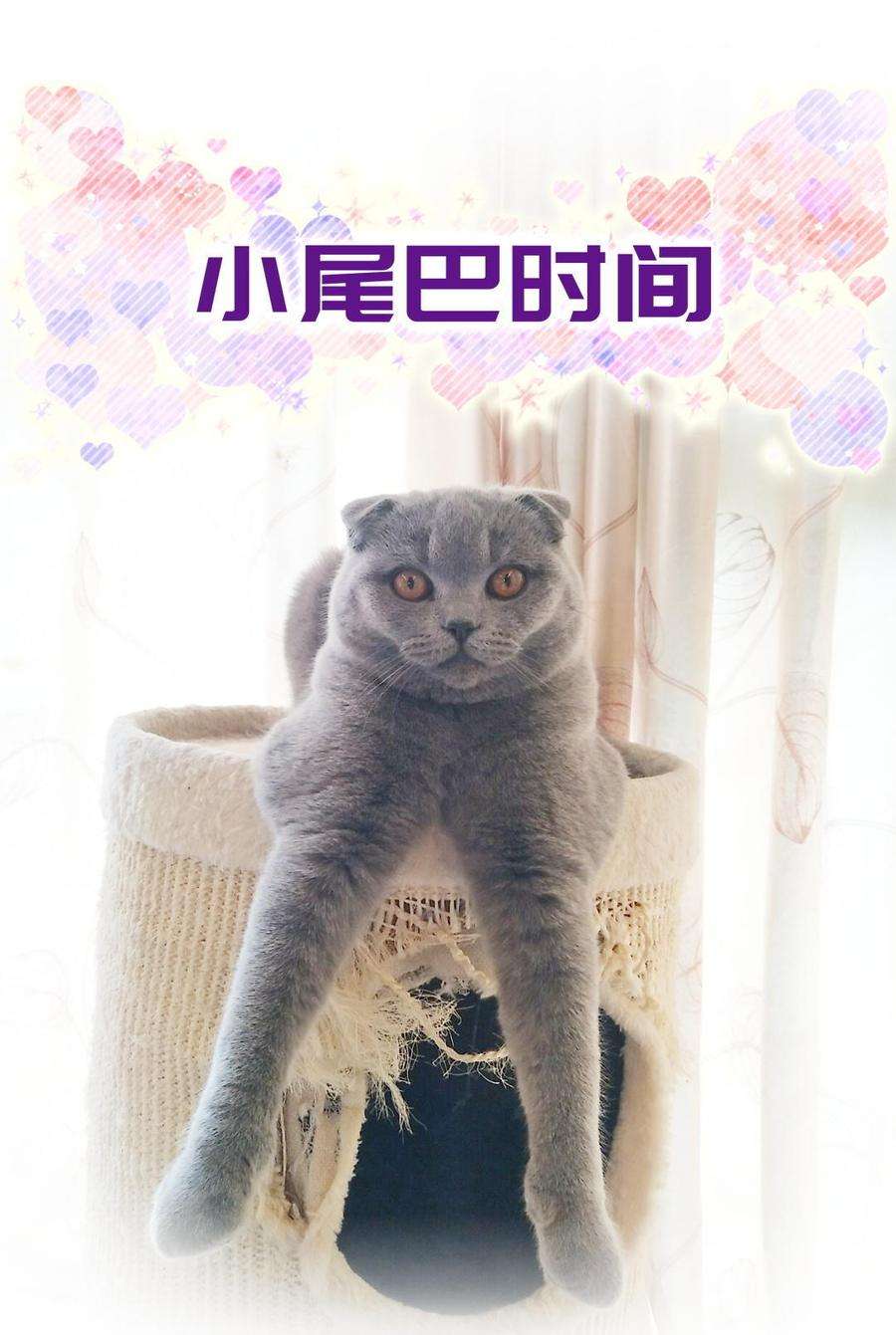 89.jpg