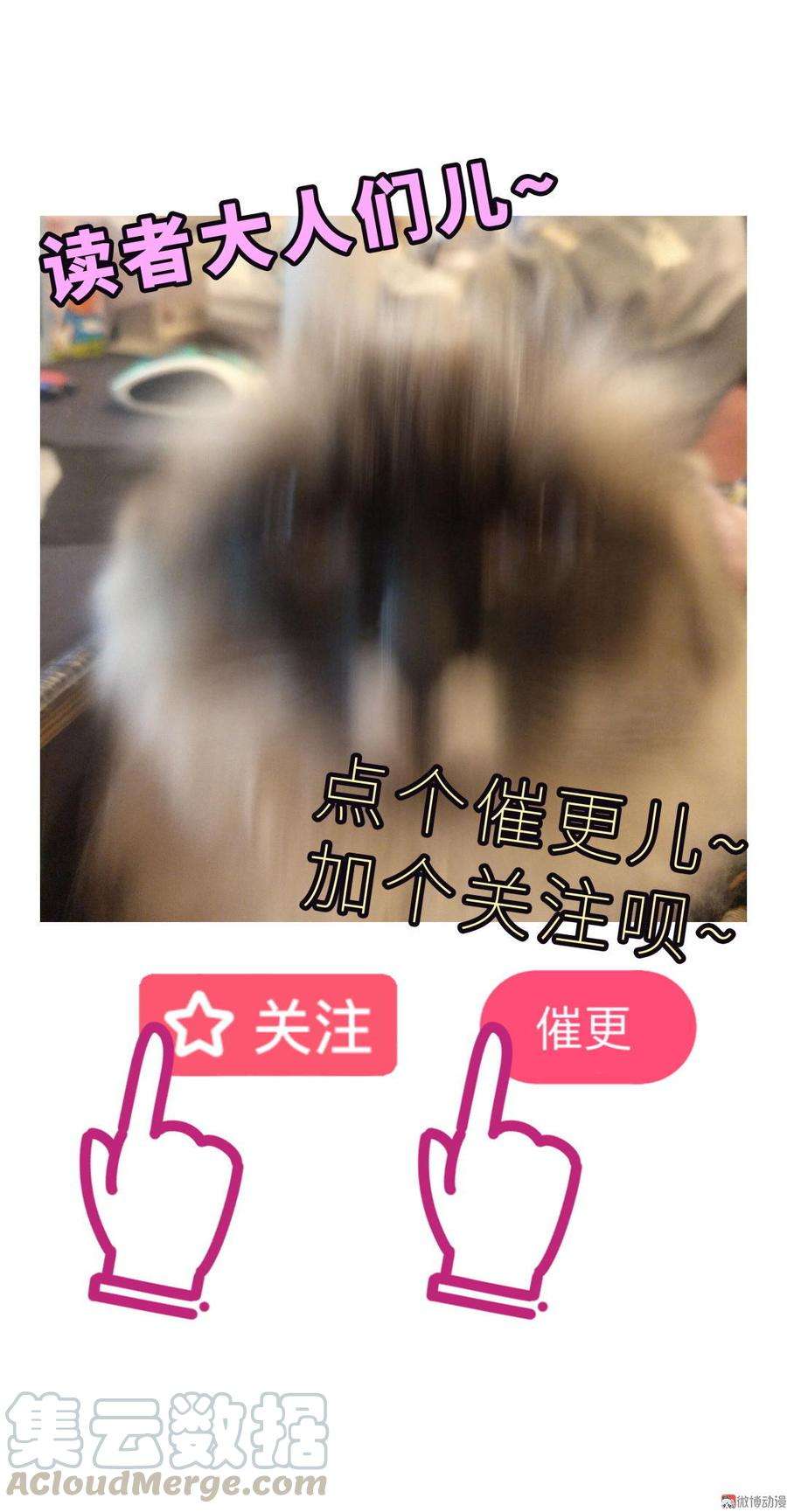 91.jpg