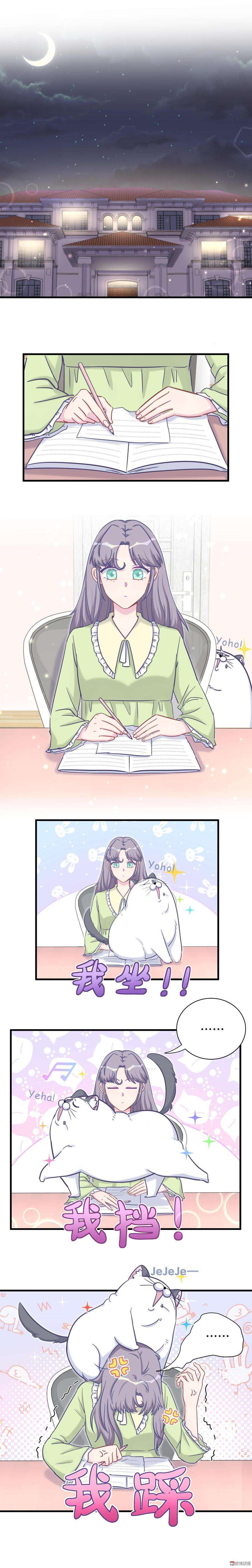 3.jpg